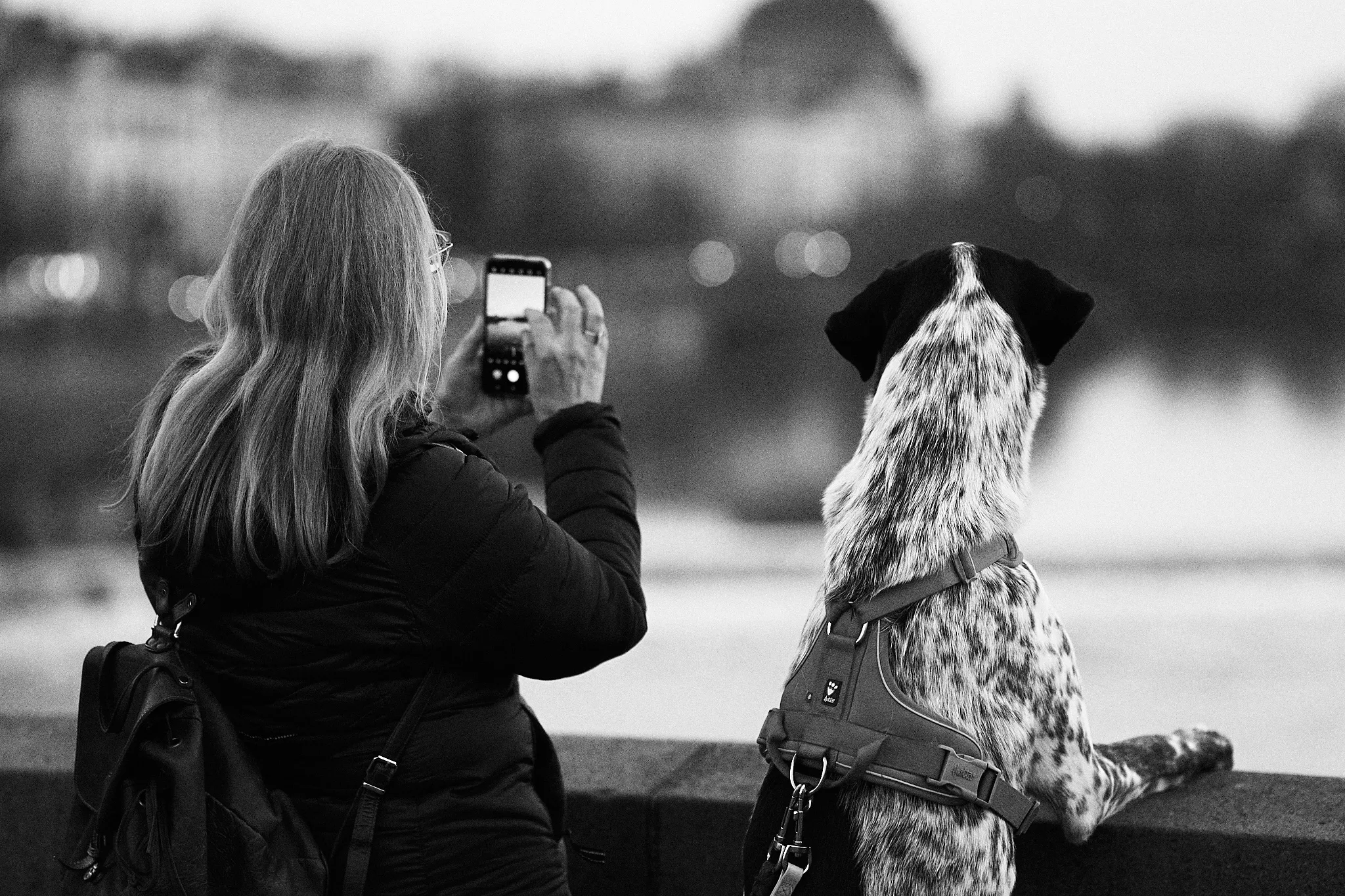 Street photograph by Michal Hotovec